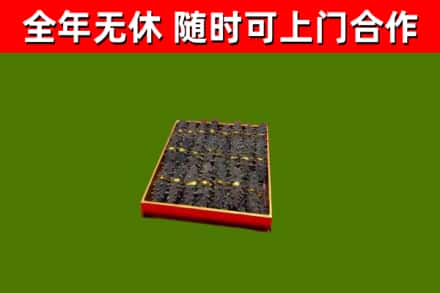 迪庆回收海参